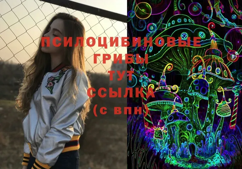 Галлюциногенные грибы Psilocybine cubensis Велиж