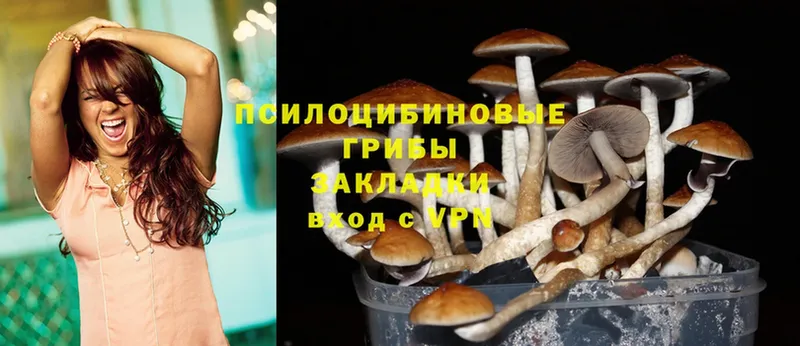 Галлюциногенные грибы Psilocybe  Велиж 